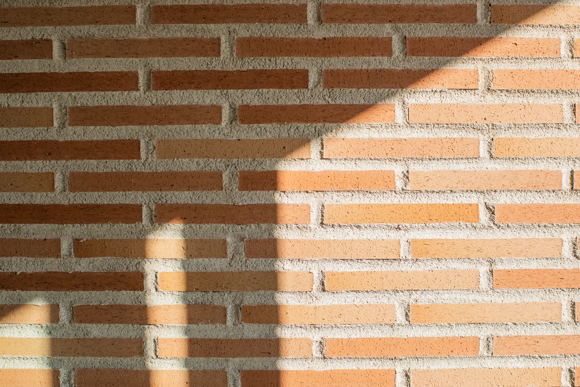 Yogo Dental Clinic interior